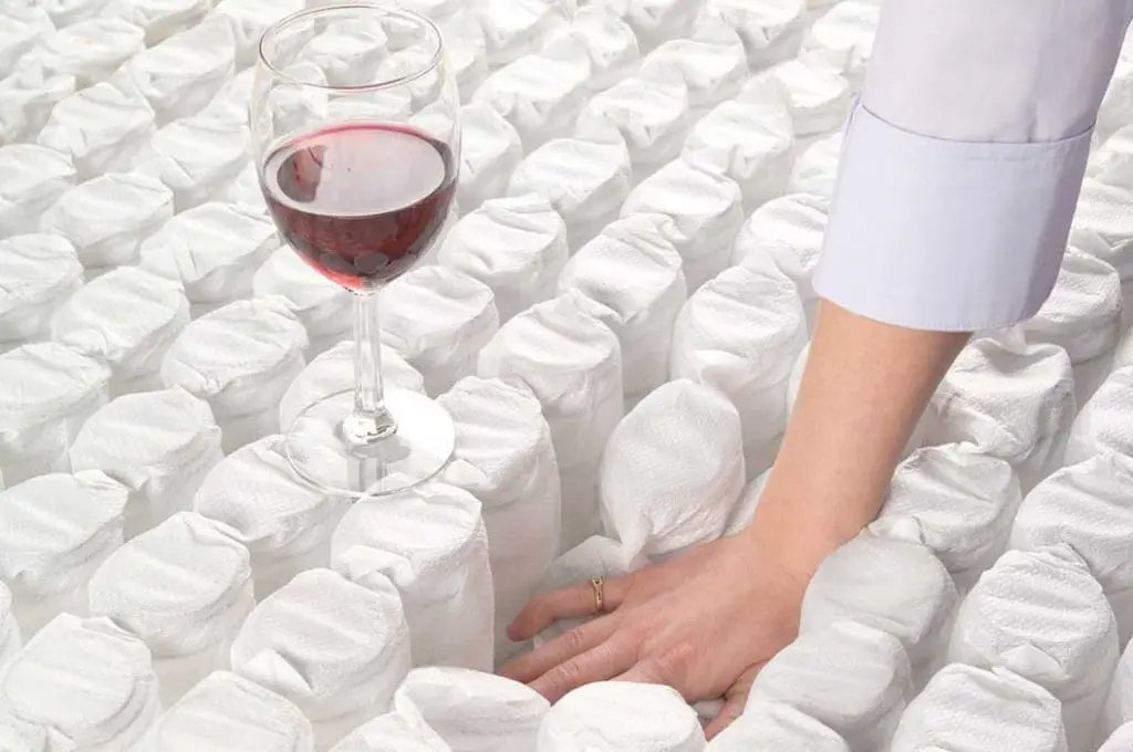 Dream Flex - 13.5" Two Sided Plush Mattress by HouseOfZazla