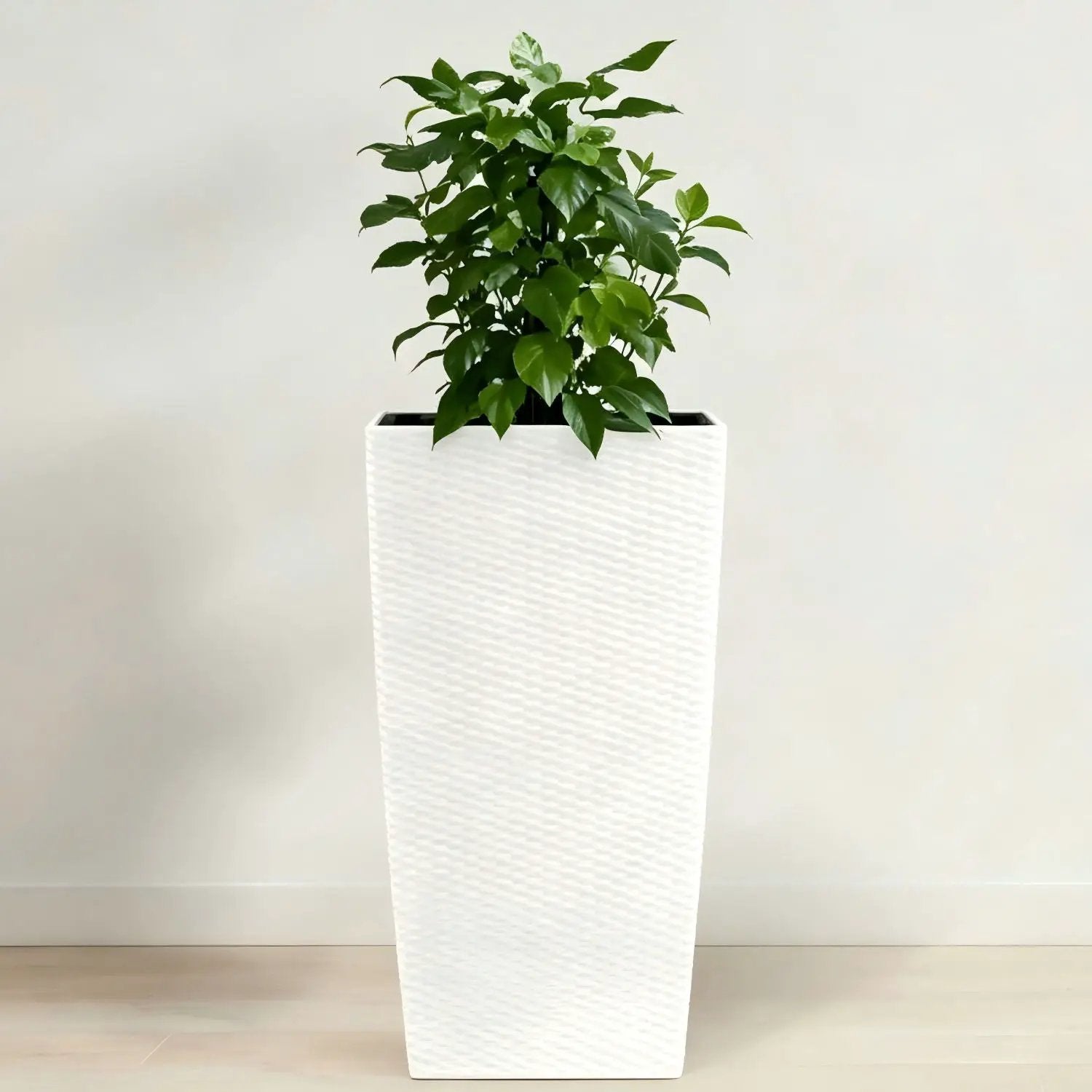 Indoor Outdoor Planter With Automatic Watering System by Unique Piece Furniture