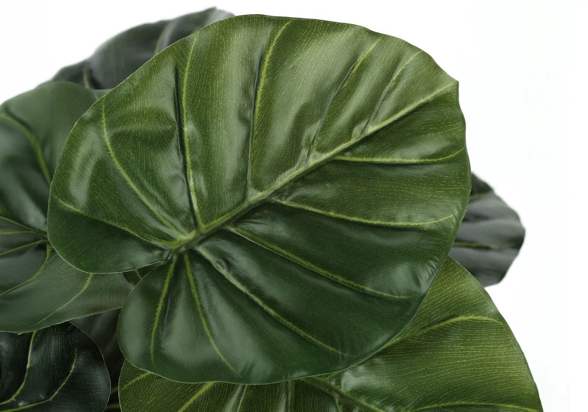 24" Tall Artificial Alocasia Plant by HouseOfZazla