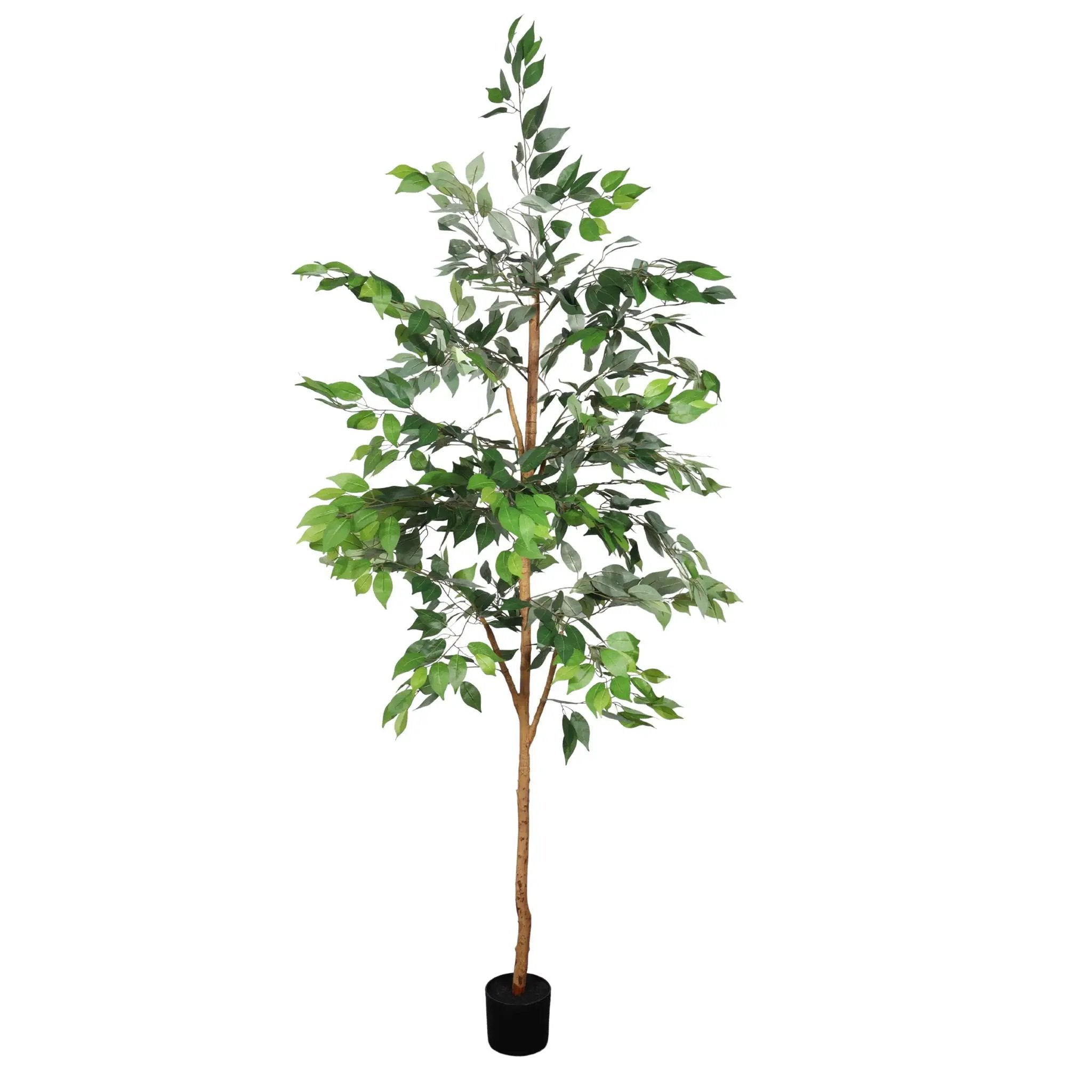 6Ft Artificial Ficus Tree With Natural Trunk In Pot For Indoor Home Office Decor - Green Leaves by HouseOfZazla