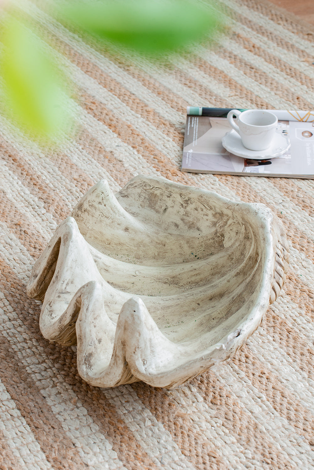Medium Clam Shell Accent, photo 5 of 10