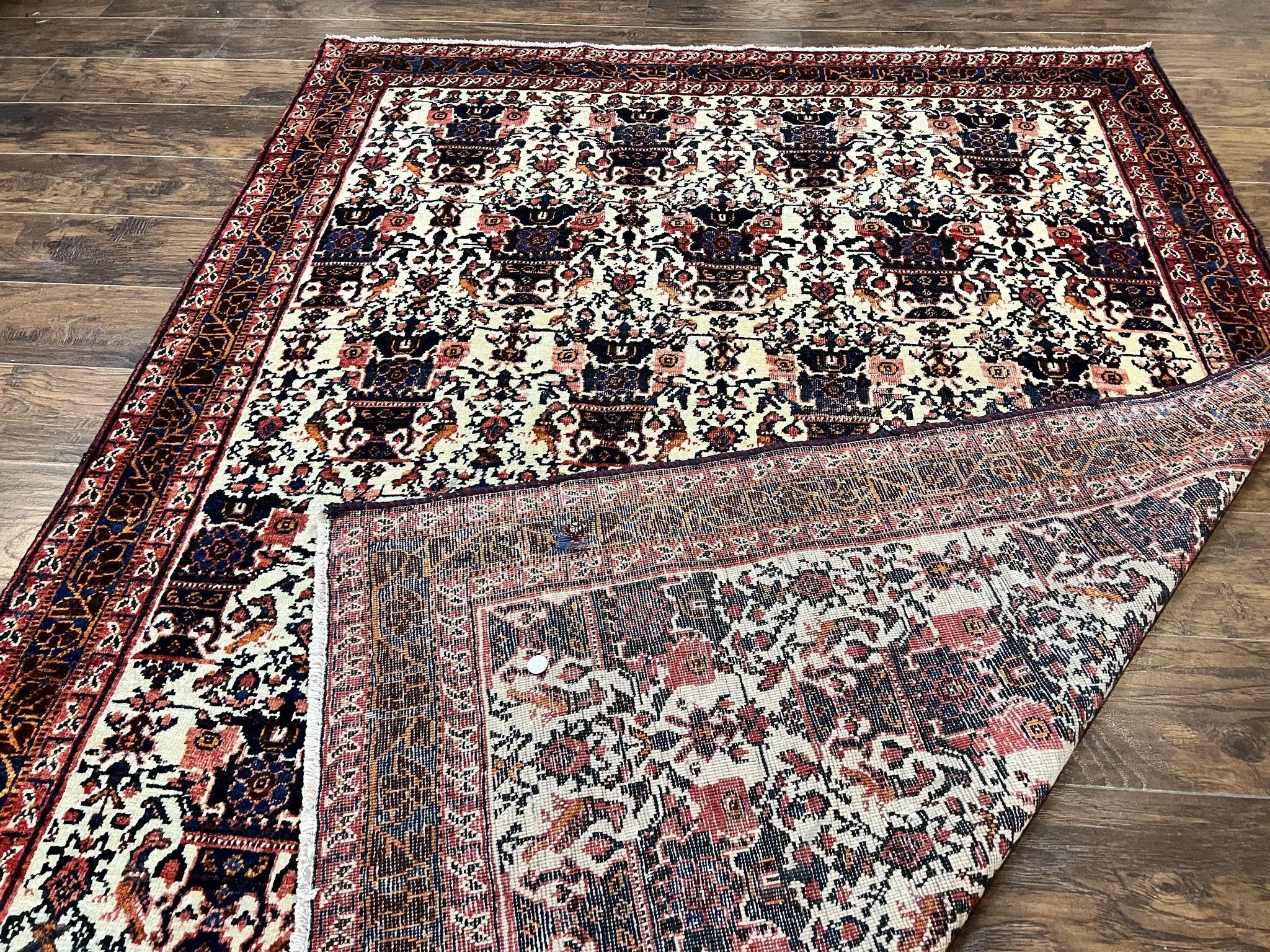 Persian Afshar Rug 6x8, Wool Hand Knotted Semi Antique Vintage Carpet, Floral Allover, Repeated Birds Flowers Vases Motifs by Jewel Rugs