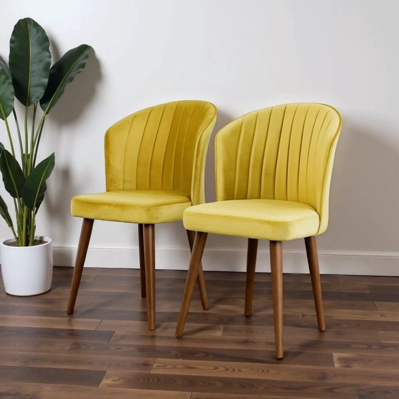 Parsons - Comfortable Dining Chair (Set of 2) by HouseOfZazla