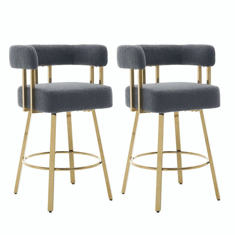 Decorative Upholstered Side Chair For Living Room (Set of 2) by Unique Piece Furniture