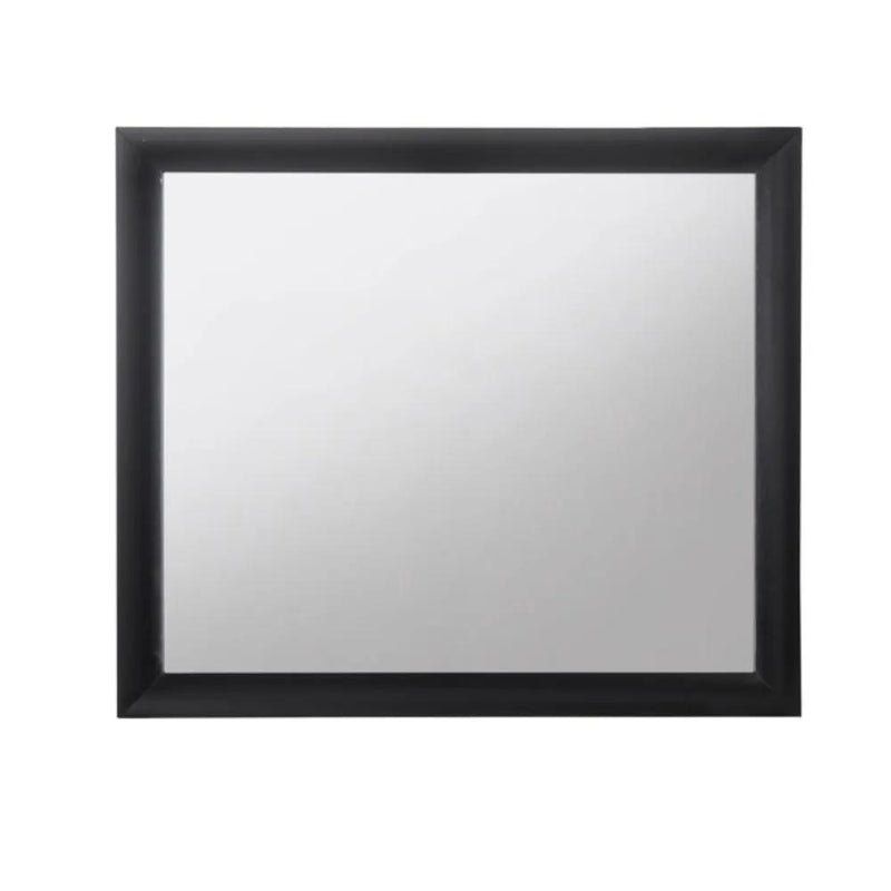 Ireland Contemporary Design Mirror by HouseOfZazla