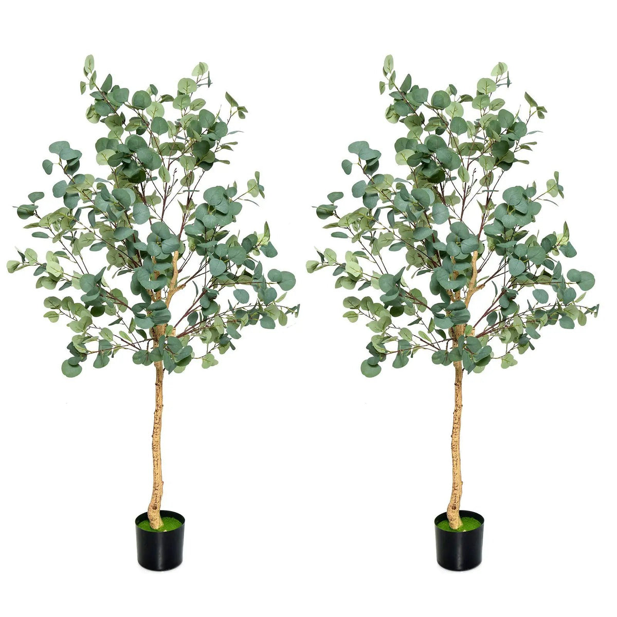 5.5 Feet Artificial Eucalyptus Tree with 517 Silver Dollar Leaves by DirectDeals