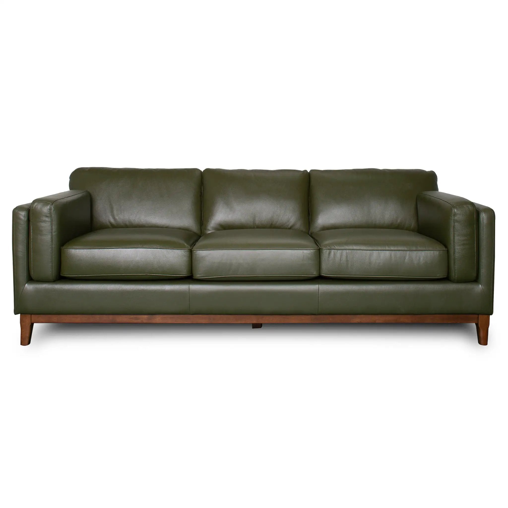 Raleigh Sustainable Wood 3-Seater Top Grain Genuine Leather Sofa by HouseOfZazla