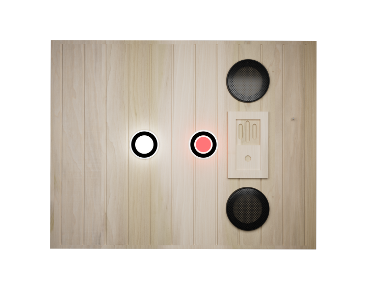 XY-909MB-L Far Infrared Sauna Room, photo 4 of 10