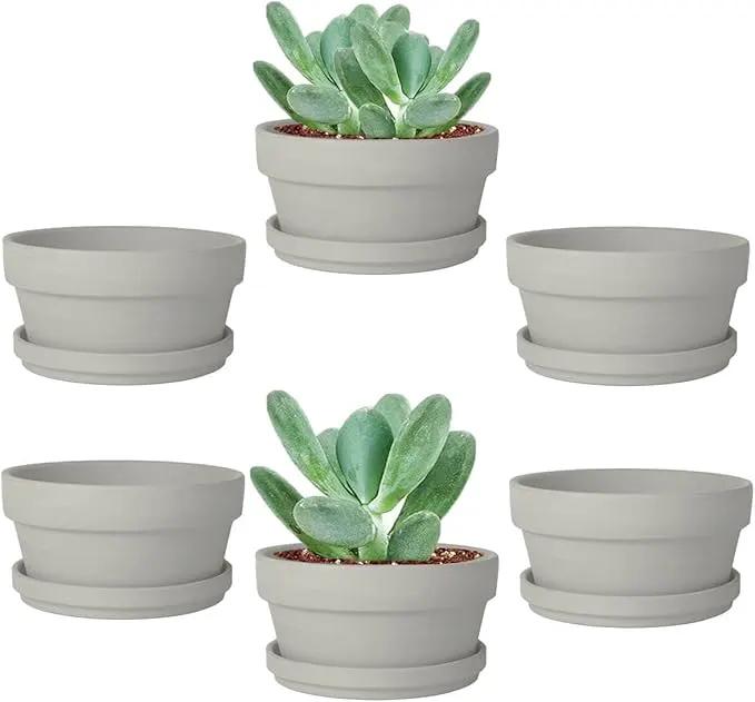 vensovo 3.7 Inch Grey Terracotta Shallow Succulent Pots - 6 Pack Terra Cotta Clay Pot with Saucer, Cacuts Indoor and Outdoor Planters with Drainage Hole by GreenHaven Gardens