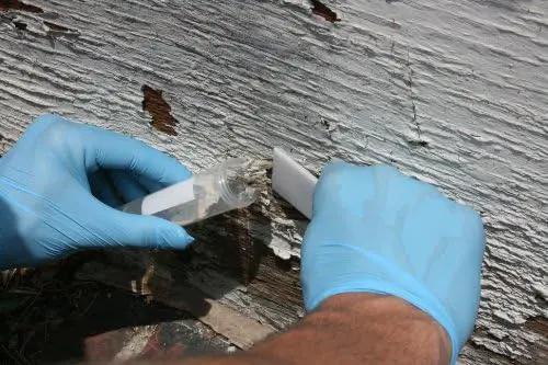 Lead Test Kit in Paint, Dust, or Soil 1PK (5 Bus. Day) Schneider Labs (EPA Approved Testing) by GreenHaven Gardens