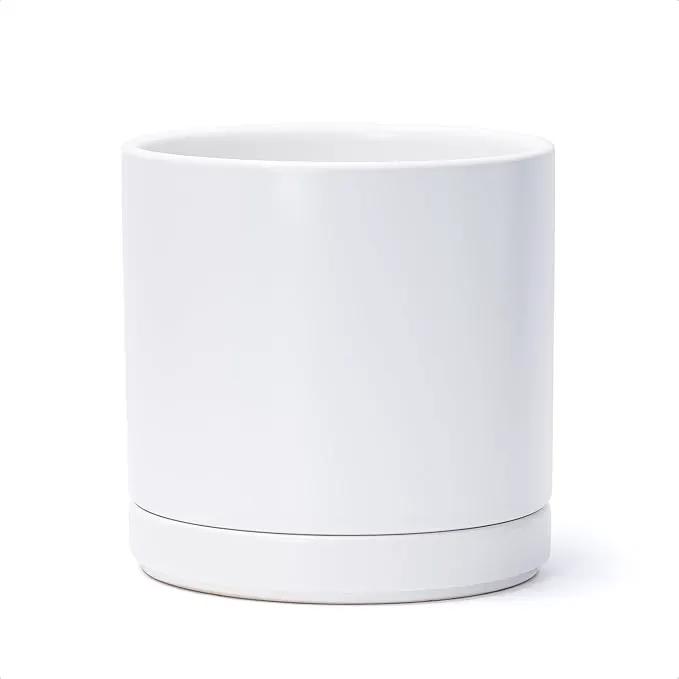 D'vine Dev 8 Inch Ceramic Planter Pot with Drainage Hole and Saucer, Indoor Cylinder Round Planter Pot, White, 94-O-D-1 by GreenHaven Gardens