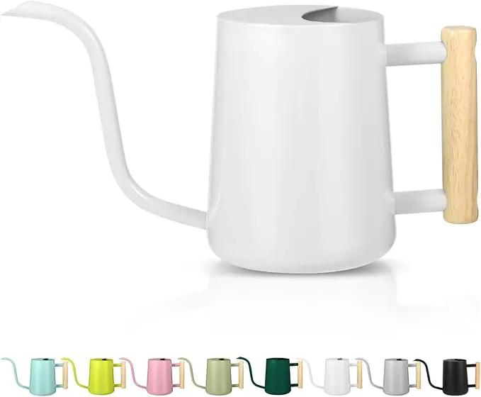 Watering Can Indoor Plants, 35oz Small Watering Can Indoor Stainless Steel Metal Watering Can Modern Decorative Watering Pot with Long Spout for Indoor House Plant Bonsai Outdoor Garden Flowers -White by GreenHaven Gardens