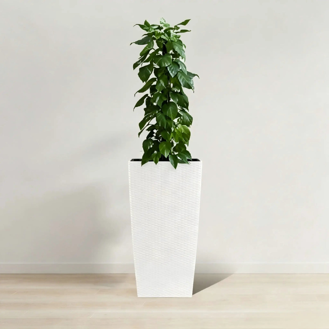 Indoor Outdoor Planter With Automatic Watering System by HouseOfZazla