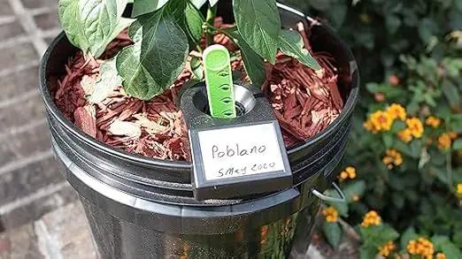 Garden Kit (3PK) self-watering sub-irrigated Planter Insert. Turn Any Bucket into a self-watering Container Garden. Create an Indoor or Outdoor, Space Saving and Portable Garden in Minutes. by GreenHaven Gardens