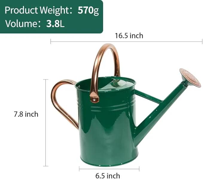 Steel Watering Can Sliver Galvanized Steel Watering Can with Copper Accents,Removable Rosette-Diffuser,One-Gallon Green by GreenHaven Gardens