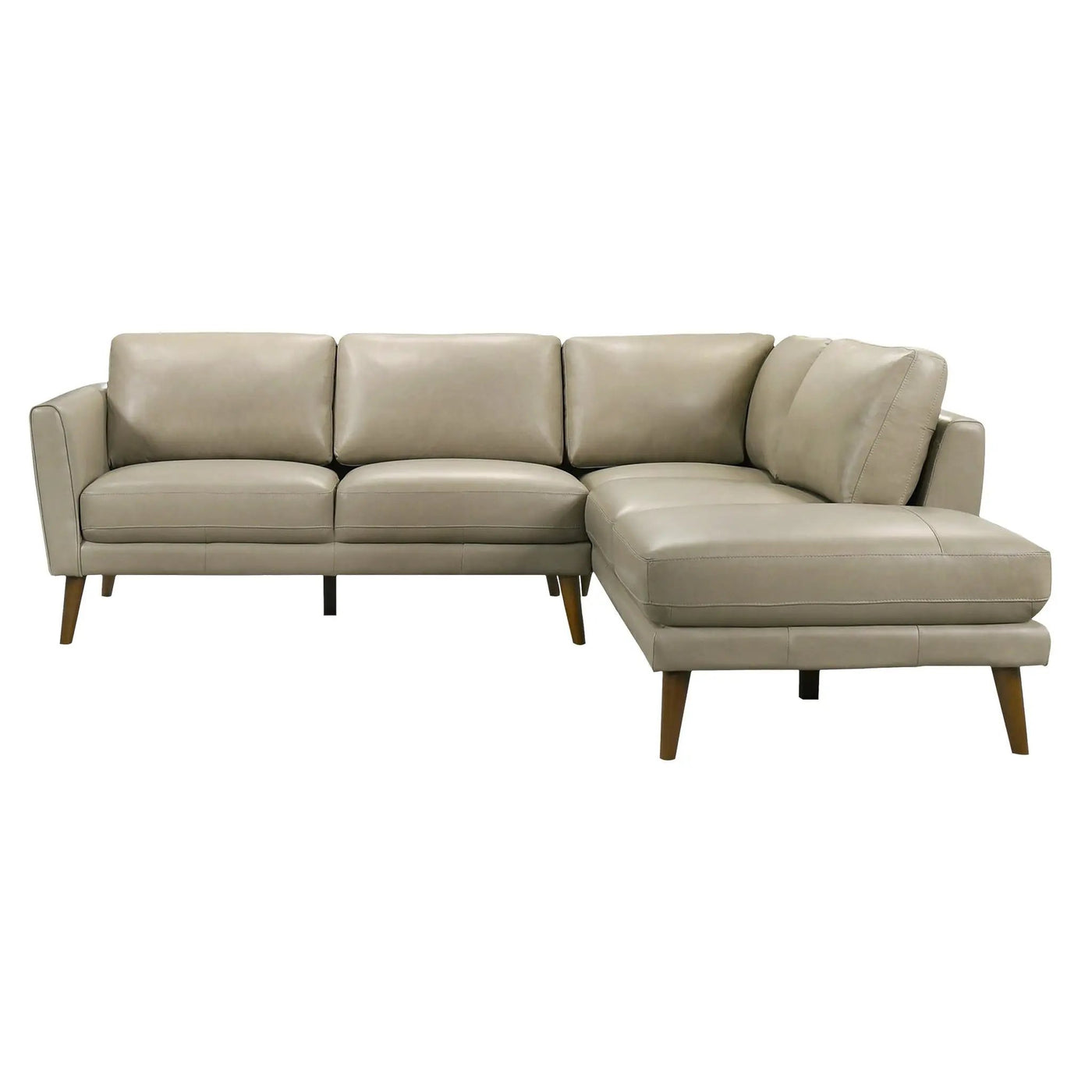 Benson - Sectional Sofa With Chaise by HouseOfZazla