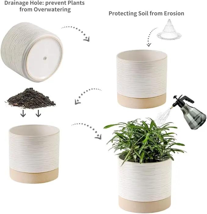 Nihow Ceramic Plant Pot: 6 Inch Planter with Drainage Hole & Saucer for Indoor & Outdoor Plants - Cylinder Round Flower Pot for Succulent/Herbs/Violets - Cream White & Brown by GreenHaven Gardens