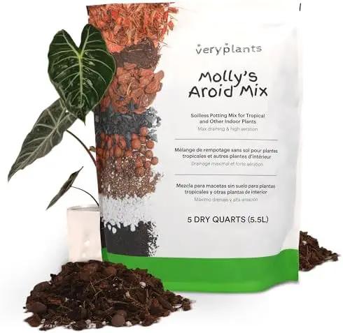 Molly's Aroid Mix - Premium Soilless Chunky Potting Mix for Tropical and Indoor Plants - Contains Orchiata Bark, Coco Chips, Worm Castings, Horticultural Charcoal, Mycorrhizae 5 Dry Quarts by GreenHaven Gardens
