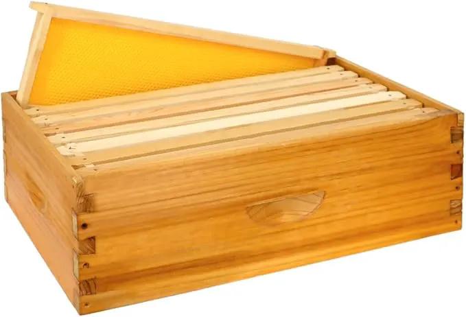 8 Frame Bee Hive Box, Langstroth Medium Super Bee Box Dipped in 100% Beeswax Include Beehive Frames and Waxed Foundation Sheets (Unassembled) by GreenHaven Gardens
