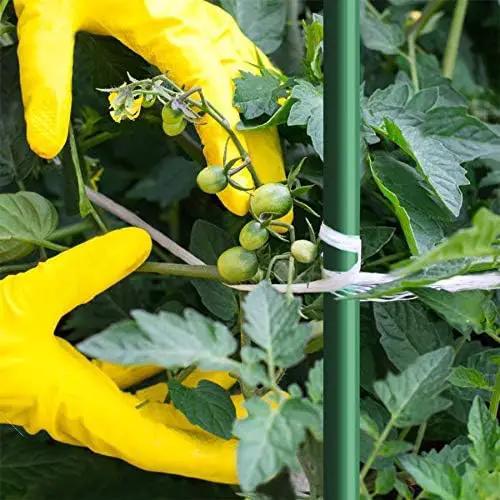4ft 8pack Garden Stakes 1/4" Dia FRP Plant Supporting Stakes for Climbing Tomato Cucumber Strawberry Bean Tree, Pack of 8, Dark Green(48inch) by GreenHaven Gardens