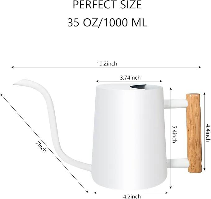 Watering Can Indoor Plants, 35oz Small Watering Can Indoor Stainless Steel Metal Watering Can Modern Decorative Watering Pot with Long Spout for Indoor House Plant Bonsai Outdoor Garden Flowers -White by GreenHaven Gardens