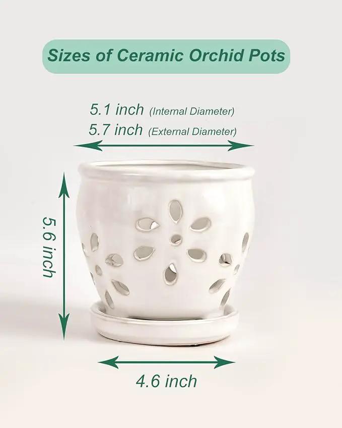vensovo 5 Inch Ceramic Orchid Pots with Holes and Saucers - 1 Pcs Small Succulent Pot for Repotting, Garden Flowerpots for Plants Indoor and Outdoor Promotes Air Circulation, White by GreenHaven Gardens