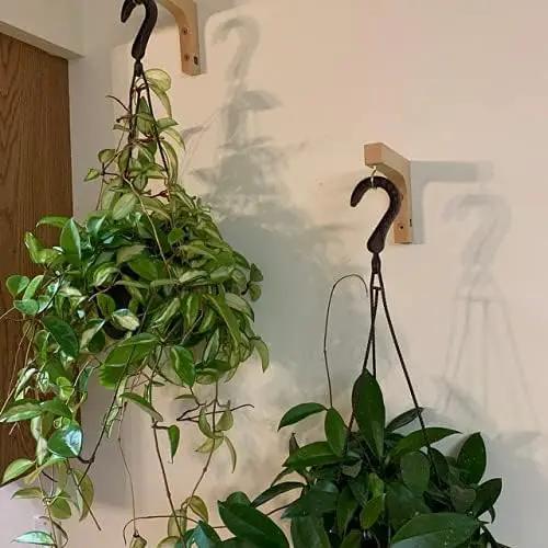 Jantens 2 Pack Hanging Plant Hook, Plant Hangers Indoor, Wooden Hanging Basket Hooks for Indoor Flower Baskets Pot Wind Chime Lanterns Planter by GreenHaven Gardens