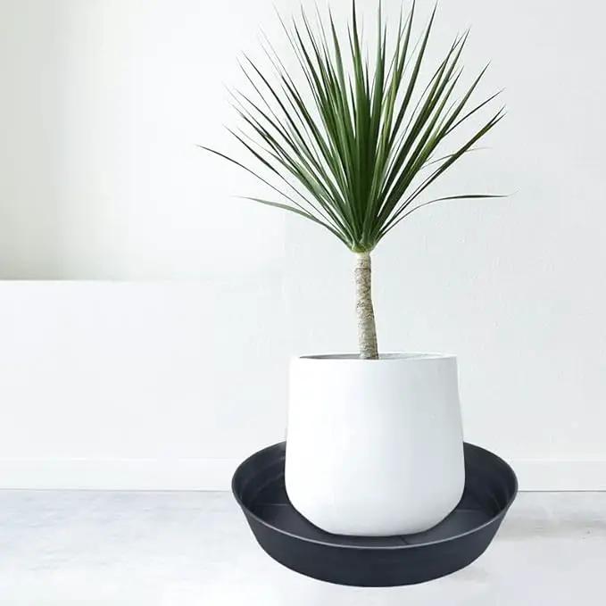 16 Inch Large Plant Saucers, Extra-Deep 2.3 in Black Drip Trays for Flower Pot, Heavy Duty Drainage Tray for Indoors No Holes, 4 Pack Plastic Planter Plate Water Catcher for Pots Base 12 13 14 in by GreenHaven Gardens