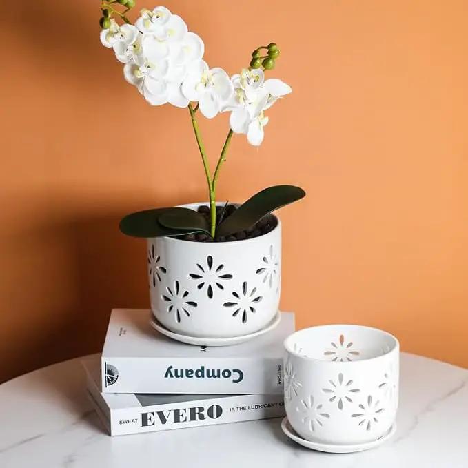 EFISPSS Orchid Pot-5+6 Inch,Ceramic Drainage Orchid Pots with Holes, Enhance Good Ventilation and Drainage,Orchid Pots Indoor/Outdoor Plants or Repotting by GreenHaven Gardens