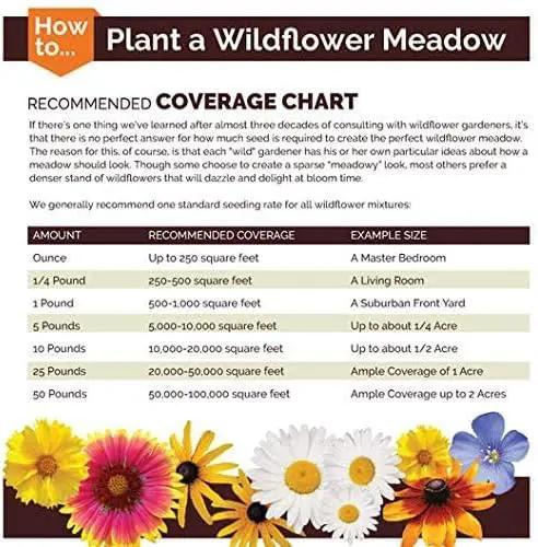 Non GMO Bulk Annual Gaillardia Blanket Flower Seed -Gaillardia pulchella (10 Lbs) by GreenHaven Gardens