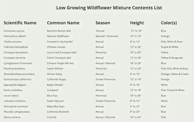 Seed Needs Low Growing Wildflower Flower Seeds for Planting | 2 Packs (1 Ounce Each) Mixture/Blend 17 Varieties | Resealable Package Multicolored Blooms Open Pollinated Mixed Species | Bulk by GreenHaven Gardens
