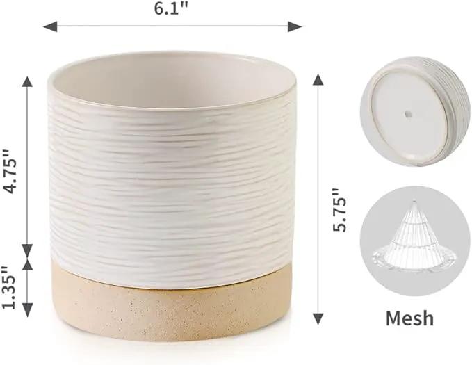 Nihow Ceramic Plant Pot: 6 Inch Planter with Drainage Hole & Saucer for Indoor & Outdoor Plants - Cylinder Round Flower Pot for Succulent/Herbs/Violets - Cream White & Brown by GreenHaven Gardens