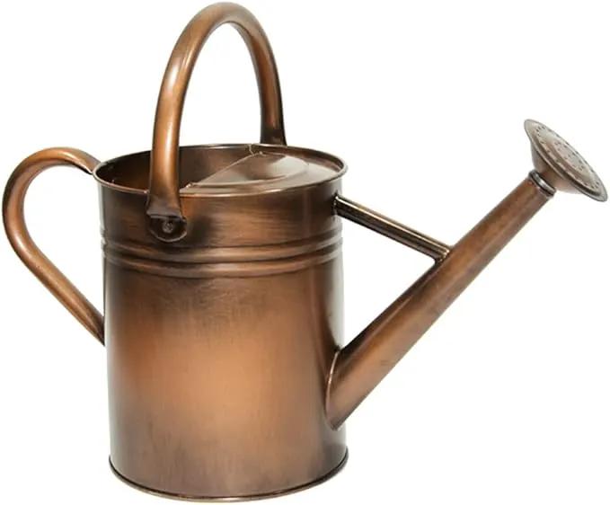 Galvanized Metal Watering Can, One Gallon Watering Cans for Outdoor Indoor Garden Plants Watering with Luminous Panit by GreenHaven Gardens