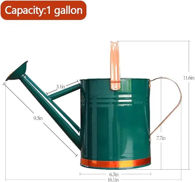 Metal Watering Can, One Gallon Watering Cans Stainless Steel for Outdoor Indoor Garden Plants Watering (One Gallon Green Decorative Strip) by GreenHaven Gardens