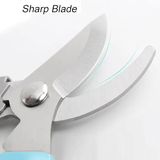 Curve Gardening Scissor with Sharp Stainless Steel Blade Garden Shears for Cutting Flowers Trimming Plants of Yard Florist Flower Rose Herb Hedge Bonsai and Fruits Picking by GreenHaven Gardens