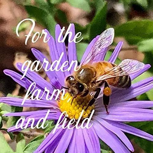 Pacific Northwest Wildflower Seeds for Planting - 4 Oz ~160,000+ Non-GMO Seeds - 25 Varieties Including Lupine, Columbine, Baby Blue Eyes & More - Pollinator Friendly Bulk Mix by GreenHaven Gardens
