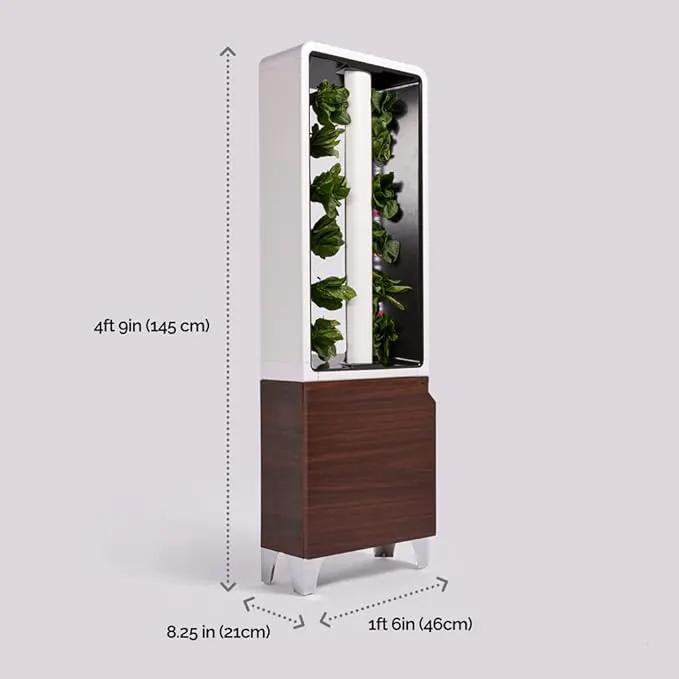 Just Vertical EVE Indoor Hydroponic Garden | Modern Furniture-Style Vertical Planter | Grow 12 Fresh Herbs & Vegetables Year-Round | Self-Watering, Energy-Efficient LED, Compact Design by GreenHaven Gardens