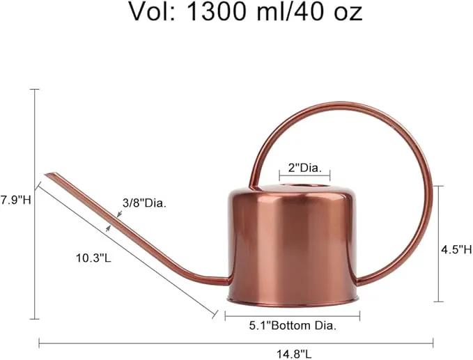 Remiawy Watering Can Indoor Outdoor Stainless Steel Watering Cans for House Plants Long Spout Water Can for Succulent Bonsai Garden Flower(40oz/1300ml) by GreenHaven Gardens