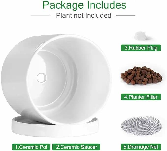 Aveyas 10 inch Ceramic Planter Pot with Drainage Hole and Saucer - Suitable for Indoor and Outdoor Use, Modern Planters for House Garden Flower Tree Snake Monstera Plants (10", Glossy White) by GreenHaven Gardens