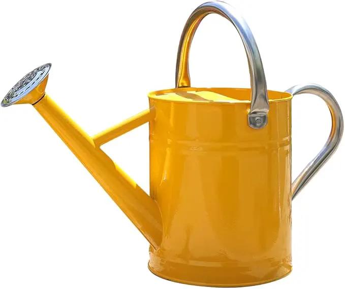 Metal Watering Can, One Gallon Watering Cans Stainless Steel for Outdoor Indoor Garden Plants Watering (Yellow) by GreenHaven Gardens
