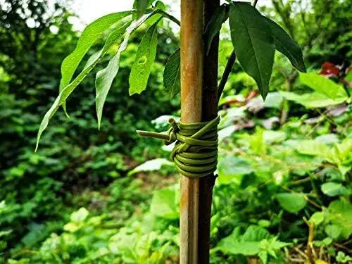 TIPU Soft Rubber Garden Rope Twine, Soft Hollow Stretchy Plant Support and Garden Twine, Green, 262 FT by GreenHaven Gardens