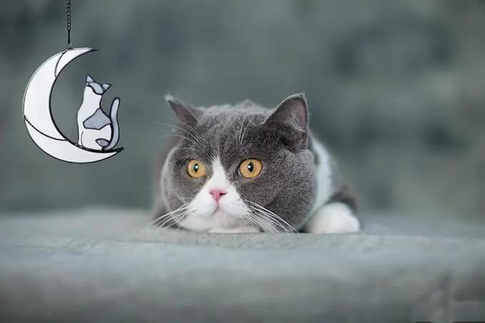 Gray and White Cat Memorial Gifts Loss of Cat British Shorthair Stained Glass Cat Suncatcher Cat Died Sympathy Gifts for Cat Lovers Cat Loss Sympathy Gift by GreenHaven Gardens