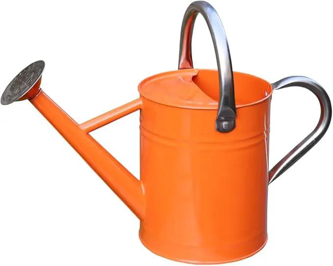 Metal Watering Can, One Gallon Watering Cans Stainless Steel for Outdoor Indoor Garden Plants Watering (Stainless Steel Handle Orange) by GreenHaven Gardens