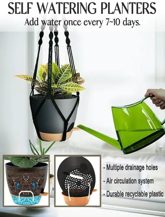 3 Pack Self Watering Hanging Planters Macrame Plant Hangers with Indoor Flower Pots, 3 Different Size Hanging Basket, Plant Hanger with Hooks for Garden Home Decor Black by GreenHaven Gardens