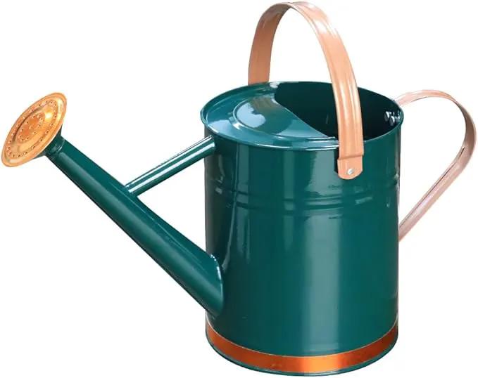 Metal Watering Can, One Gallon Watering Cans Stainless Steel for Outdoor Indoor Garden Plants Watering (One Gallon Green Decorative Strip) by GreenHaven Gardens