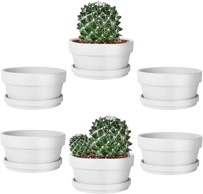 vensovo 5.7 Inch White Terracotta Shallow Succulent Pots - 6 Pack Terra Cotta Clay Pot with Saucer, Cacuts Indoor and Outdoor Planters with Drainage Hole by GreenHaven Gardens