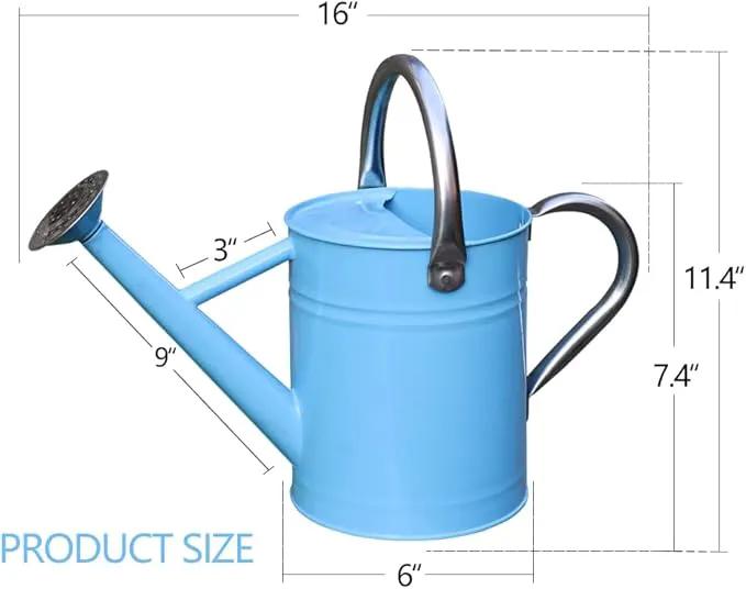 Metal Watering Can, One Gallon Watering Cans Stainless Steel for Outdoor Indoor Garden Plants Watering (Stainless Steel Handle Blue) by GreenHaven Gardens