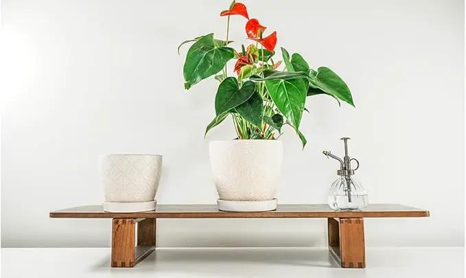 Docrin Ceramic Plant Pots Indoor: 6.6 + 5.5 Inch Planters with Drainage Holes and Saucer for Home/Office - Set of 2 /White by GreenHaven Gardens