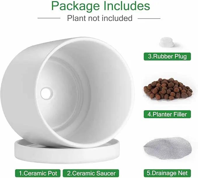 Aveyas 10 inch Ceramic Plant Pot with Drainage Hole and Saucer - Suitable for Indoor and Outdoor Use, Modern Planters for House Garden Flower Tree Snake Monstera Plants (10", Matte White) by GreenHaven Gardens