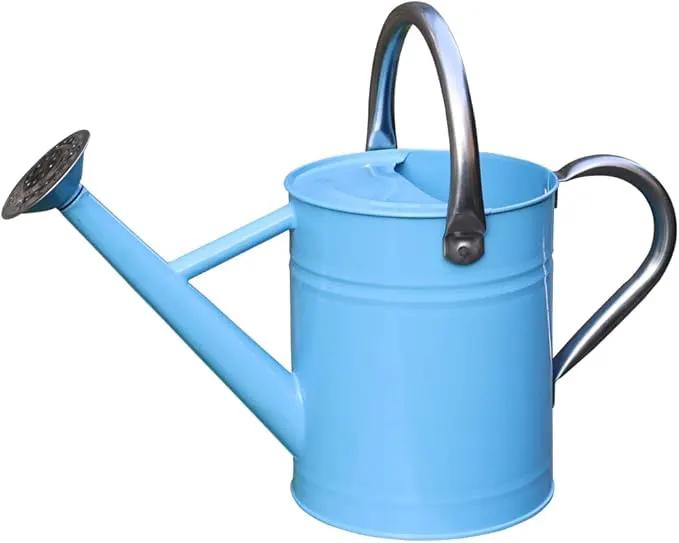Metal Watering Can, One Gallon Watering Cans Stainless Steel for Outdoor Indoor Garden Plants Watering (Stainless Steel Handle Blue) by GreenHaven Gardens